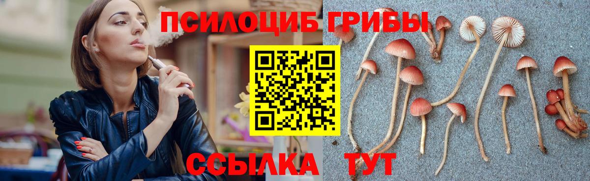 Галлюциногенные грибы Psilocybe  Псилоцибиновые грибы Cubensis  Люберцы  Вход с VPN 